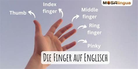 bezeichnung auf englisch|bezeichnungen in english.